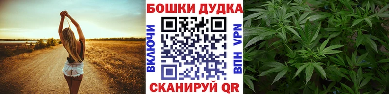 Бошки марихуана THC 21%  Красавино 